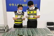 国产人人看人人爱,打造全民互动娱乐新体验